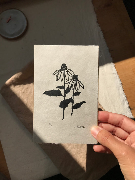 Echinacea Print