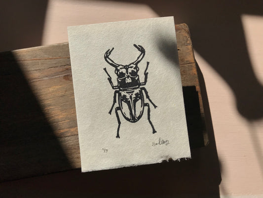 Beetle Mini Print