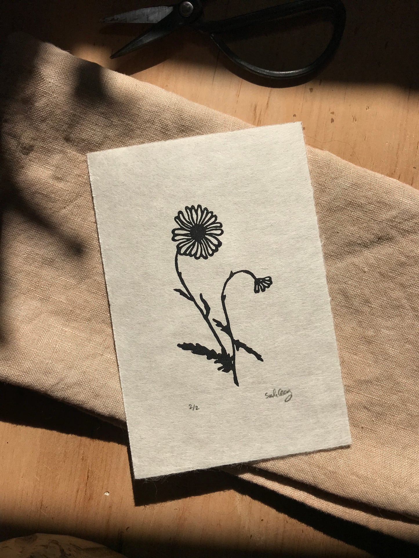 Daisy Print